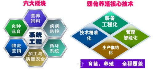 加快工廠化循環水養殖裝備技術創新 助推水產養殖綠色高效發展